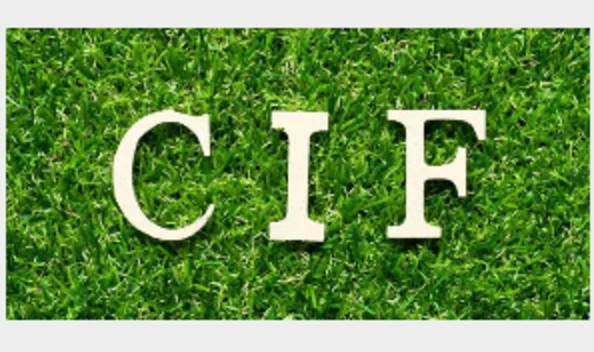 cisf