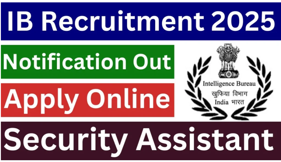 IB Security Assistant